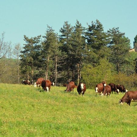 Gites A La Ferme De Bacon Saint-Sylvestre  Extérieur photo