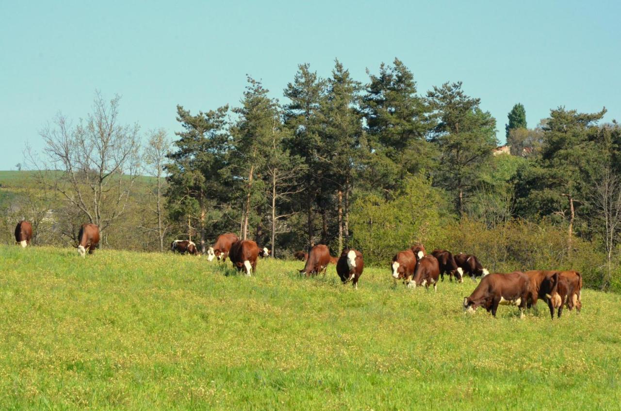 Gites A La Ferme De Bacon Saint-Sylvestre  Extérieur photo